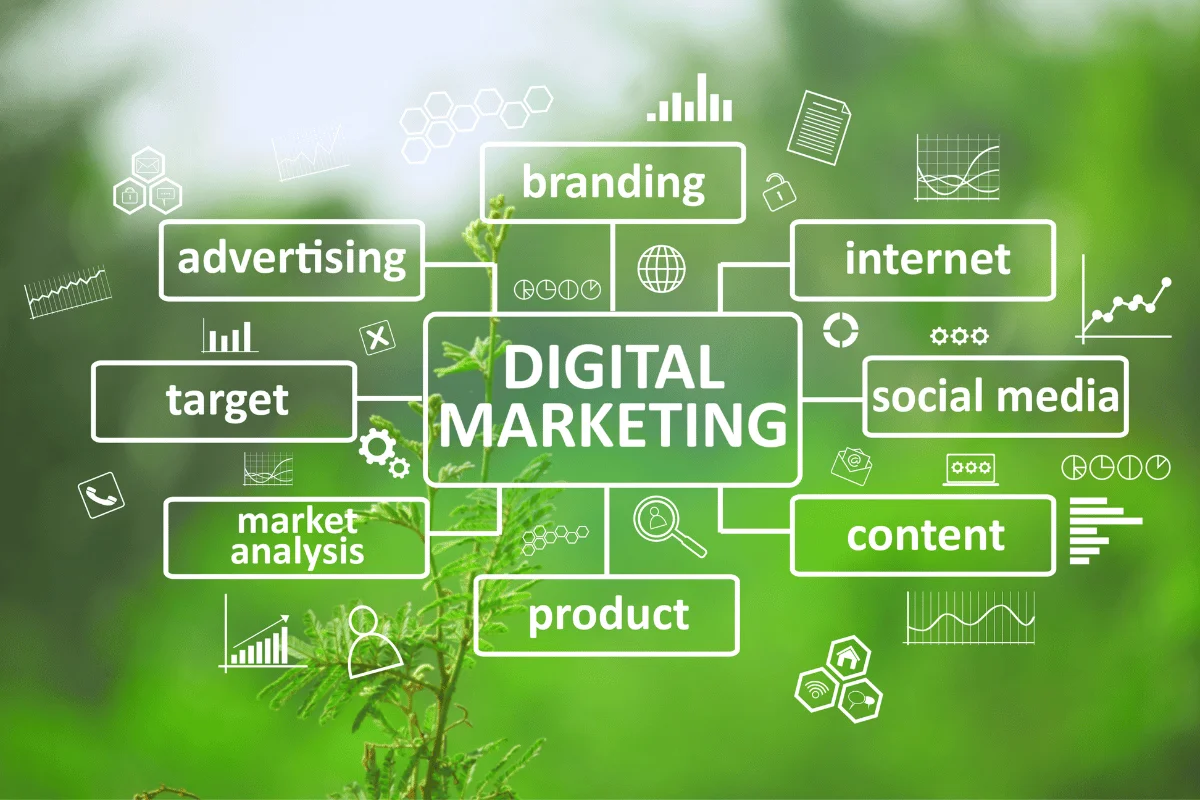 Campaign insights and analytics